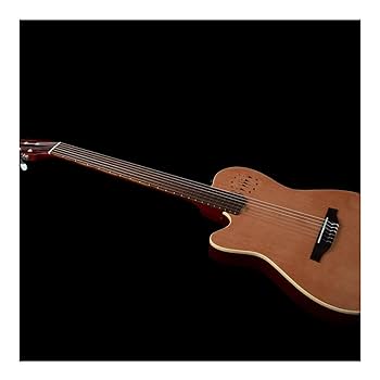 Godin Multiac Nylon Encore 値下げしました！ Godin Multiac Nylon Encore Acoustic-Electric Guitar | Music